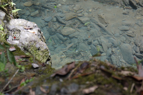 宜蘭~林美石磐步道：宜蘭●礁溪-林美石磐步道~夏日必去的踏青消暑景點!!