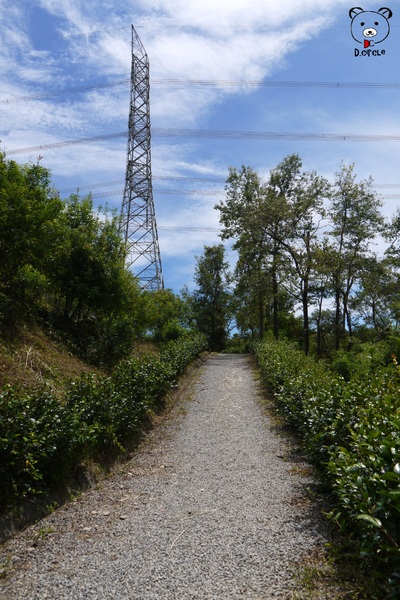 宜蘭~林美石磐步道：宜蘭●礁溪-林美石磐步道~夏日必去的踏青消暑景點!!