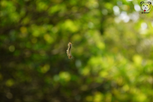 宜蘭~林美石磐步道：宜蘭●礁溪-林美石磐步道~夏日必去的踏青消暑景點!!