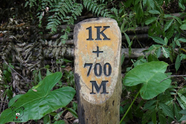 宜蘭~林美石磐步道：宜蘭●礁溪-林美石磐步道~夏日必去的踏青消暑景點!!