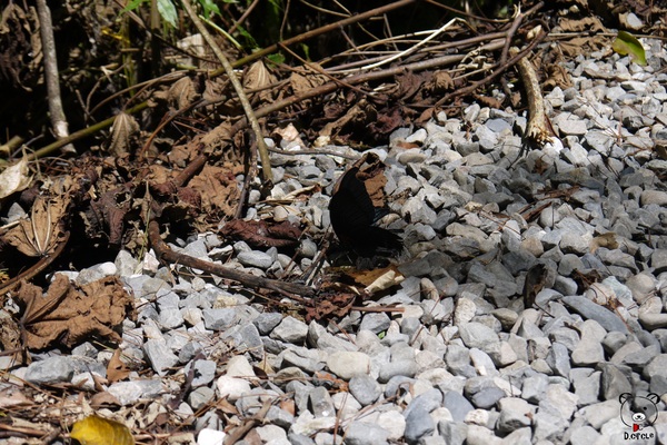 宜蘭~林美石磐步道：宜蘭●礁溪-林美石磐步道~夏日必去的踏青消暑景點!!