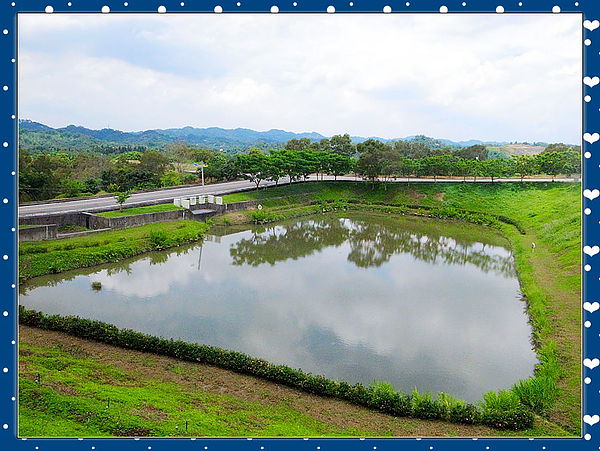 心之芳庭：【台中】二訪 ღ 心之芳庭 ღ