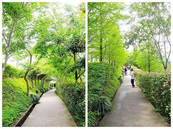 R0021544_副本_副本5