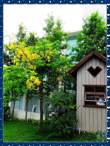 心之芳庭：【台中】二訪 ღ 心之芳庭 ღ