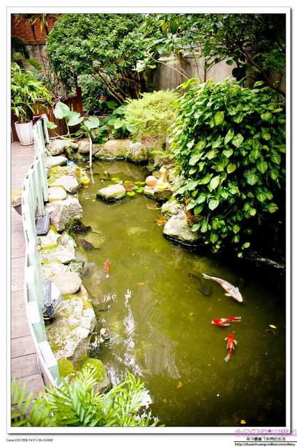 綠芳園咖啡庭園餐廳:【美食♥新竹】☼ 綠芳園庭園餐廳 ☼九宮格繽紛下午茶讓人驚艷♥♥