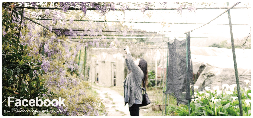 Facebook Link BANNER-01