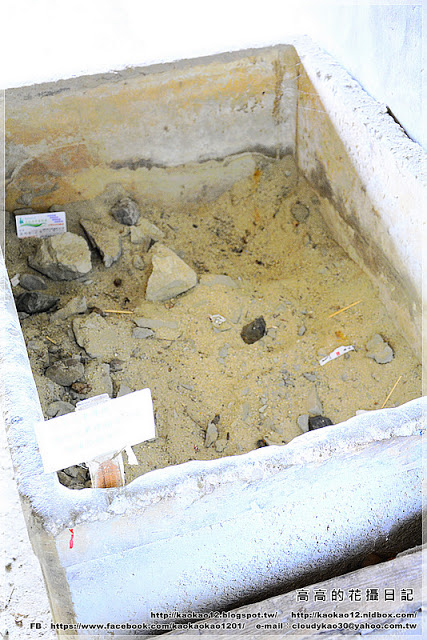 奮起湖車站:【嘉義】竹崎鄉。林務局奮起湖車庫