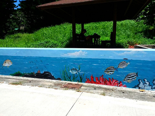 望安島-網垵口沙灘：【澎湖景點】澎湖望安網垵口沙灘~綠蠵龜保育區，人煙稀少的無污沙灘，夢幻漸層海洋讓人心醉忘情於拍照