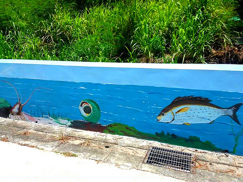 望安島-網垵口沙灘:【澎湖景點】澎湖望安網垵口沙灘~綠蠵龜保育區,人煙稀少的無污沙灘,夢幻漸層海洋讓人心醉忘情於拍照