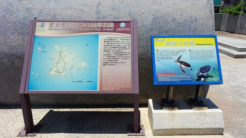 望安島-網垵口沙灘：【澎湖景點】澎湖望安網垵口沙灘~綠蠵龜保育區，人煙稀少的無污沙灘，夢幻漸層海洋讓人心醉忘情於拍照