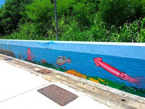 望安島-網垵口沙灘:【澎湖景點】澎湖望安網垵口沙灘~綠蠵龜保育區,人煙稀少的無污沙灘,夢幻漸層海洋讓人心醉忘情於拍照