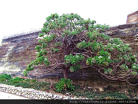 高雄 070_副本.jpg