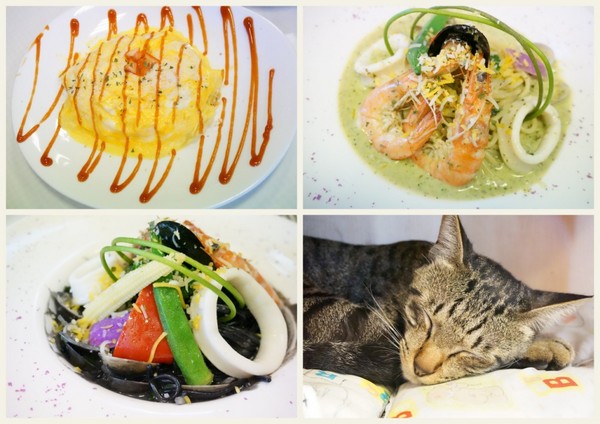 藍迪亞餐屋：適合聚會又免服務費的美味【桃園/藍迪亞餐屋】