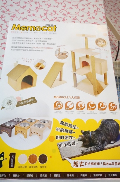 藍迪亞餐屋：適合聚會又免服務費的美味【桃園/藍迪亞餐屋】