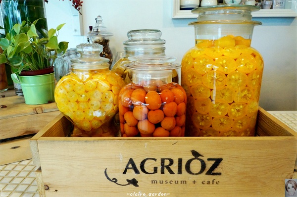 AGRIOZ Cafe':宜蘭 AGRIOZ咖啡館~發現無敵美拍照角落