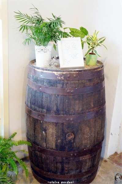 AGRIOZ Cafe':宜蘭 AGRIOZ咖啡館~發現無敵美拍照角落