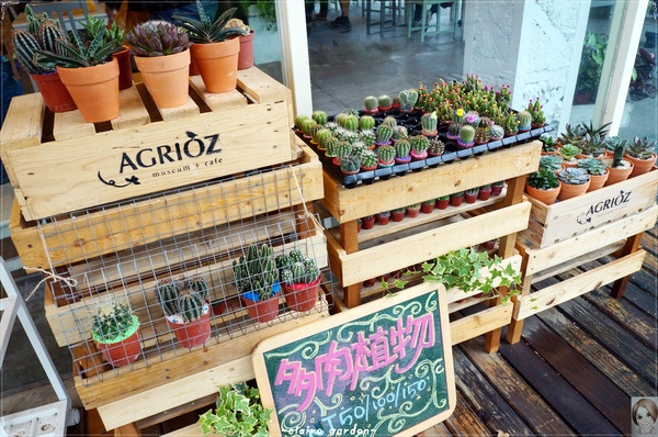AGRIOZ Cafe':宜蘭 AGRIOZ咖啡館~發現無敵美拍照角落
