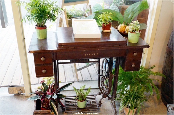 AGRIOZ Cafe':宜蘭 AGRIOZ咖啡館~發現無敵美拍照角落