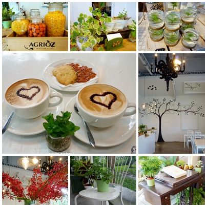 AGRIOZ Cafe':宜蘭 AGRIOZ咖啡館~發現無敵美拍照角落