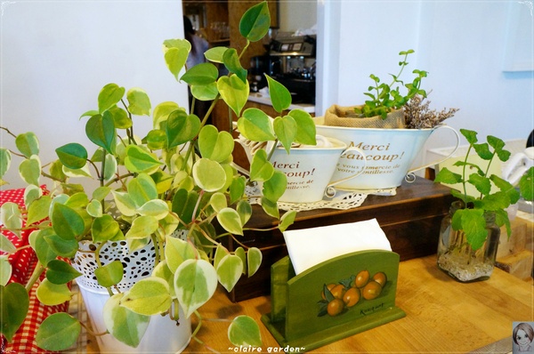 AGRIOZ Cafe':宜蘭 AGRIOZ咖啡館~發現無敵美拍照角落