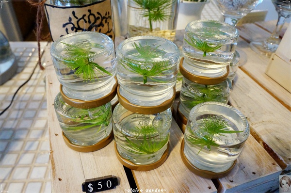 AGRIOZ Cafe':宜蘭 AGRIOZ咖啡館~發現無敵美拍照角落