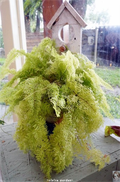 AGRIOZ Cafe':宜蘭 AGRIOZ咖啡館~發現無敵美拍照角落