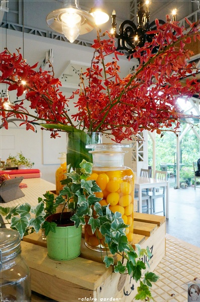 AGRIOZ Cafe':宜蘭 AGRIOZ咖啡館~發現無敵美拍照角落