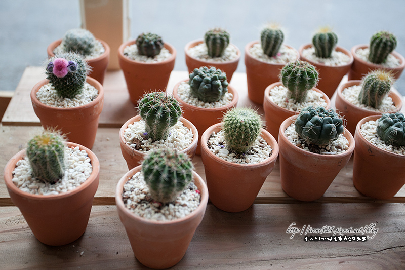 13.06.22-橘之鄉蜜餞形象館