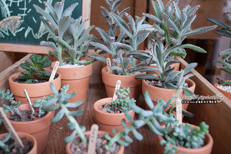 13.06.22-橘之鄉蜜餞形象館