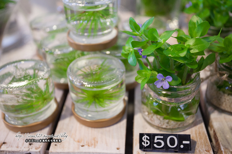 13.06.22-橘之鄉蜜餞形象館