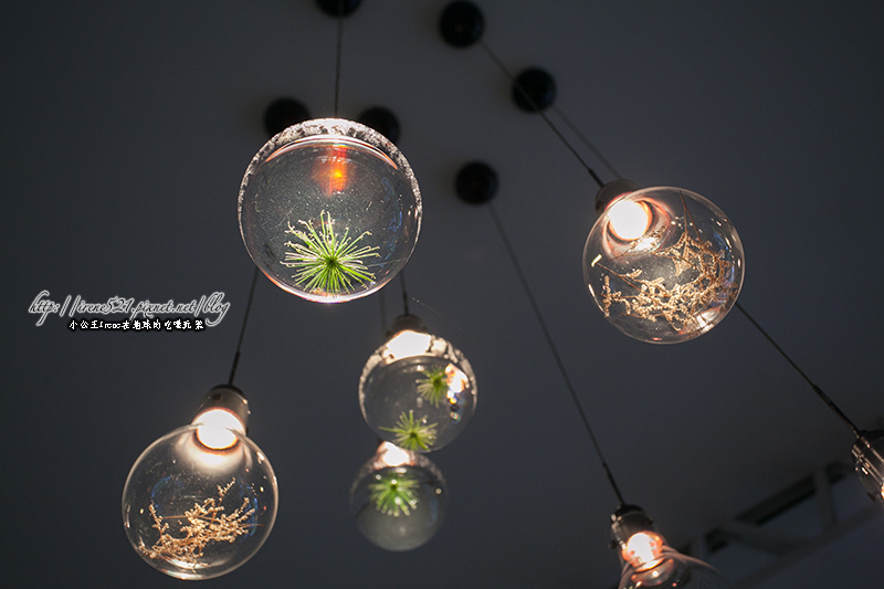 13.06.22-橘之鄉蜜餞形象館