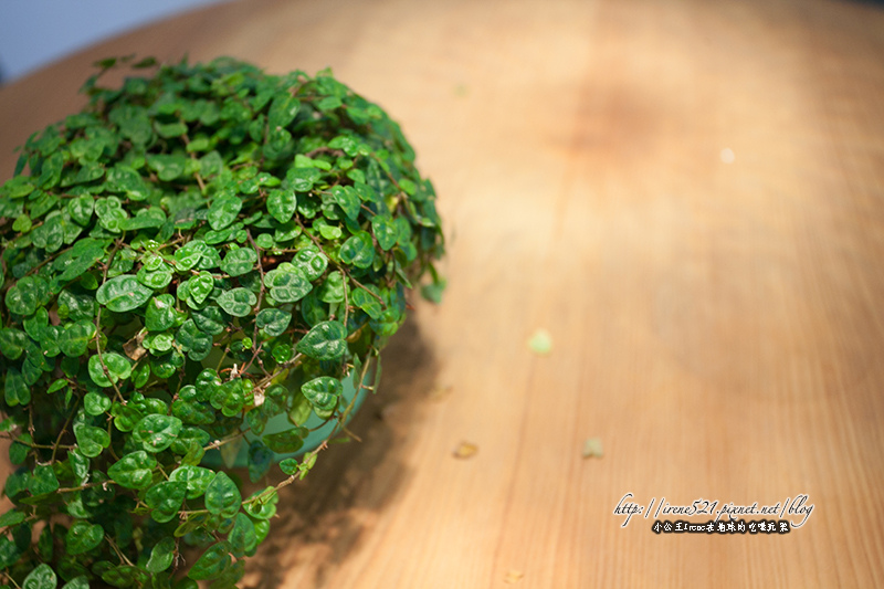 13.06.22-橘之鄉蜜餞形象館
