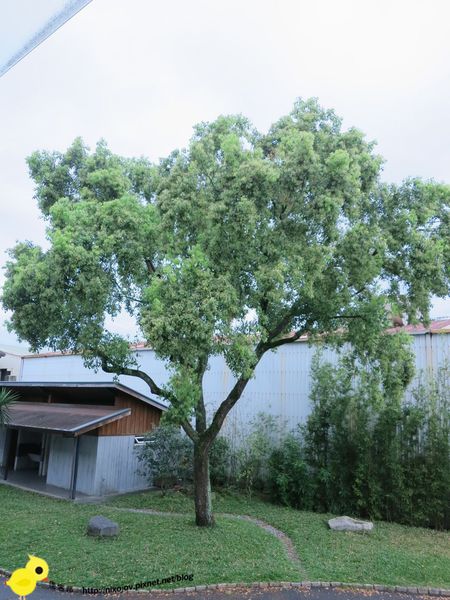 【宜蘭】觀光工廠-橘子鄉-蜜餞的家鄉