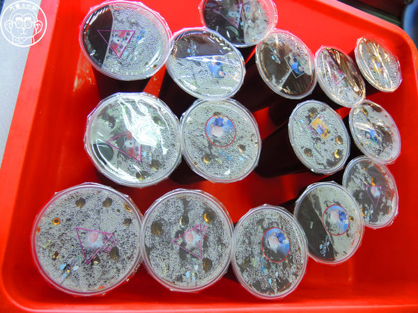 三廠姜店:呷飽祙【新竹・三廠姜店】資優生等級的眷村捲餅