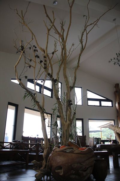 10514277_10202603264058880_2674252070740861126_o