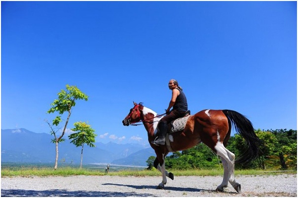 swfupload50d3fce774b56