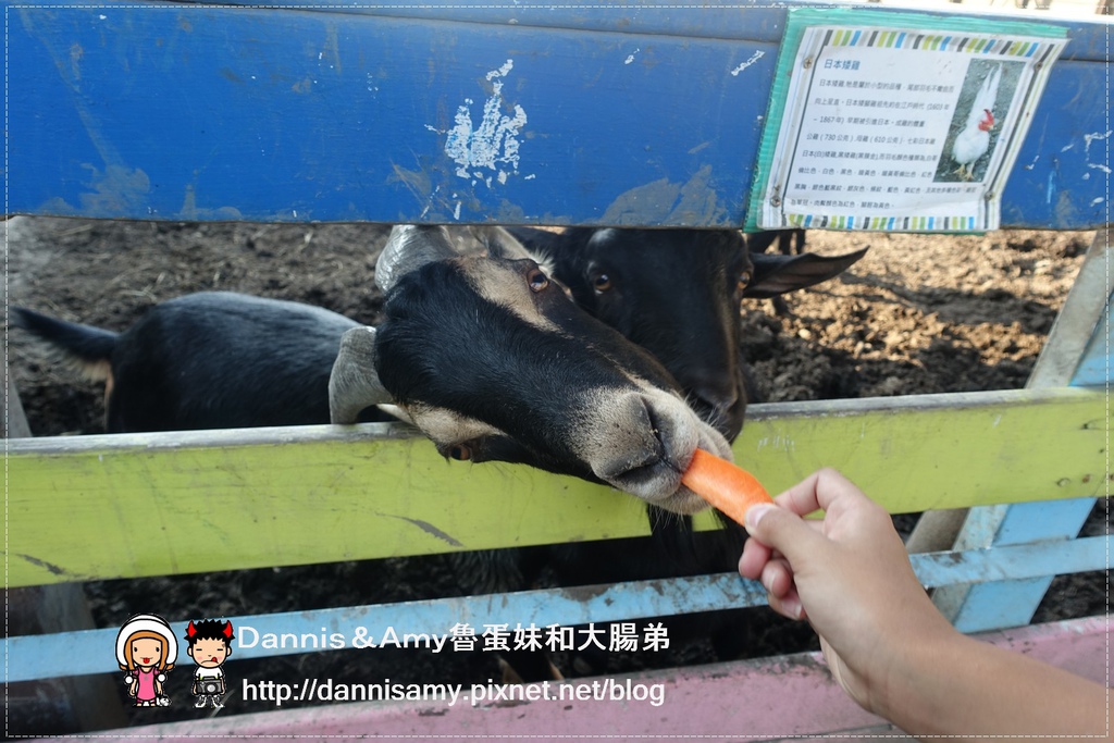 巷弄田園親子餐廳 (27)