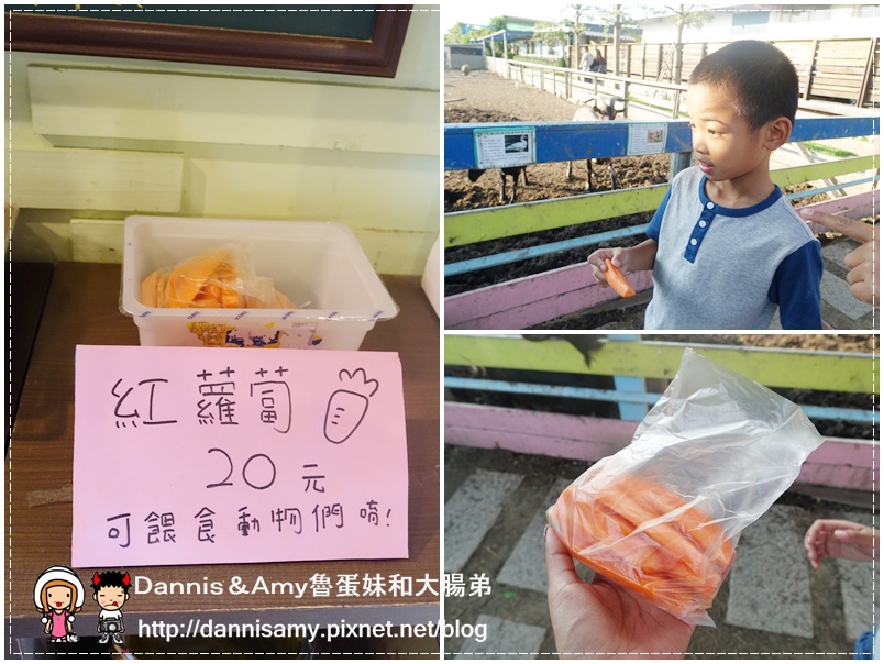 巷弄田園親子餐廳 (2)