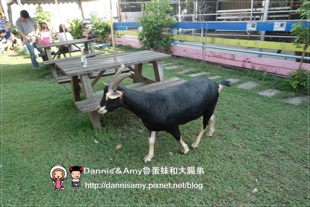 巷弄田園親子餐廳 (10)