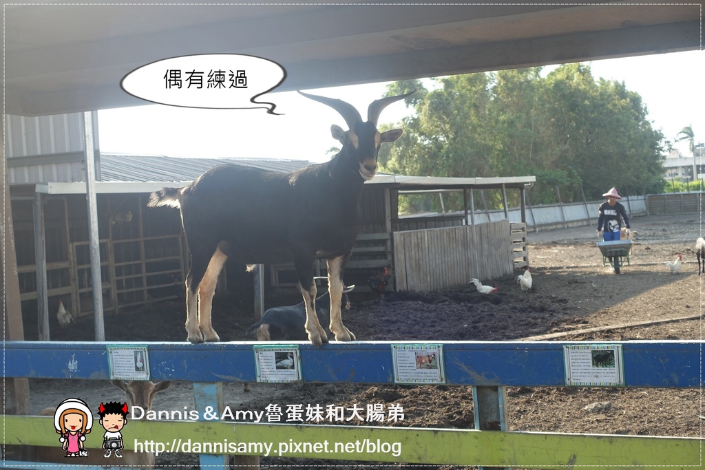 巷弄田園親子餐廳 (11)