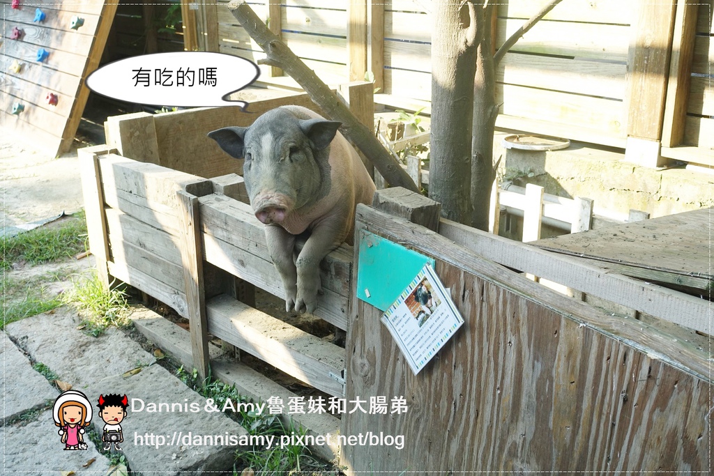 巷弄田園親子餐廳 (28)