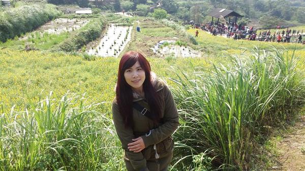 貓空樟樹步道：貓空樟樹步道~閃閃的淚光魯冰花(20160326)