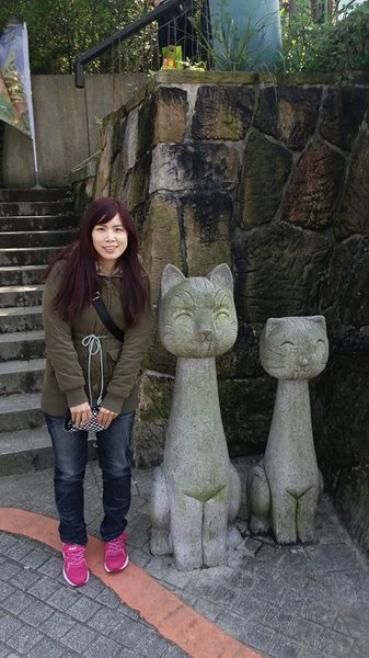 貓空樟樹步道：貓空樟樹步道~閃閃的淚光魯冰花(20160326)