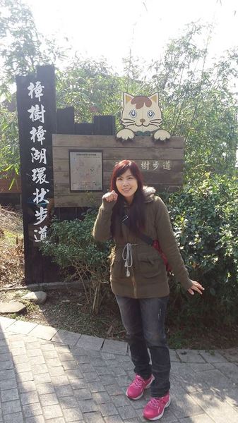 貓空樟樹步道：貓空樟樹步道~閃閃的淚光魯冰花(20160326)