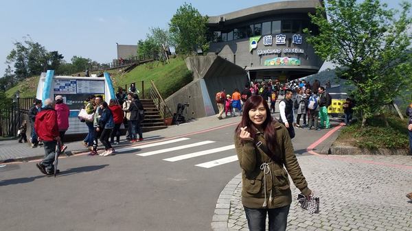 貓空樟樹步道：貓空樟樹步道~閃閃的淚光魯冰花(20160326)