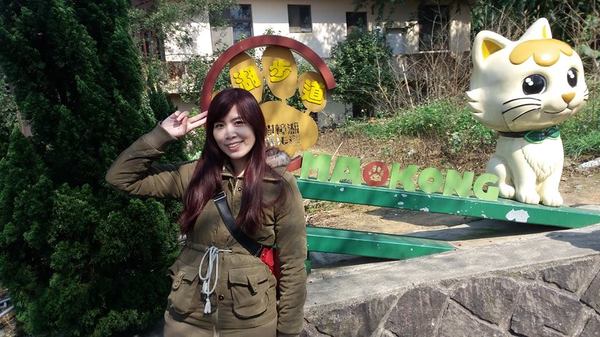 貓空樟樹步道：貓空樟樹步道~閃閃的淚光魯冰花(20160326)