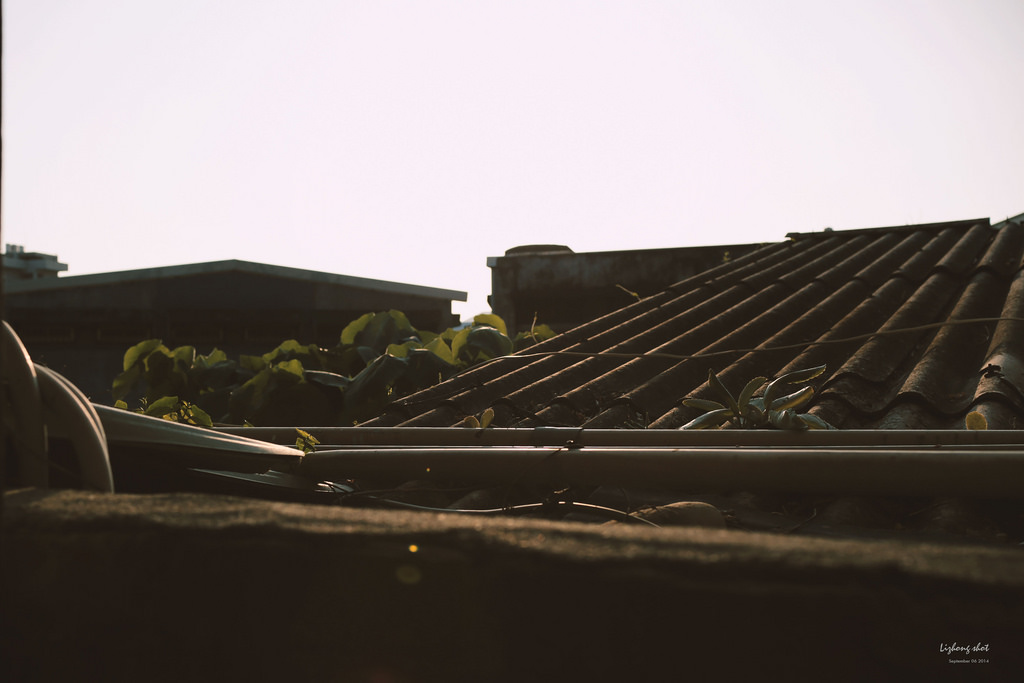 那夏日的彰化兩日行