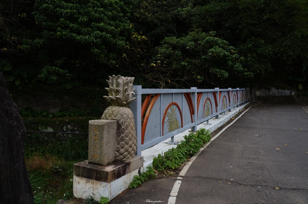 吳氏宗祠：[城市櫻花趣][閃點]台北 北投賞櫻&茶花&大鳳梨~吳氏宗祠、鳳梨宅、秘境