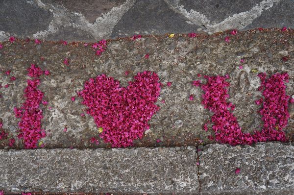 吳氏宗祠：[城市櫻花趣][閃點]台北 北投賞櫻&茶花&大鳳梨~吳氏宗祠、鳳梨宅、秘境