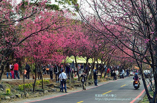 吳氏宗祠 108_副本.jpg